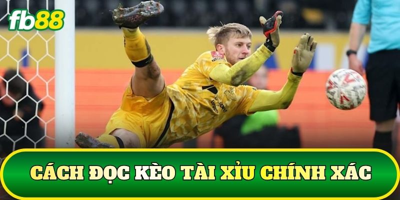 Cách đọc kèo tài xỉu chính xác